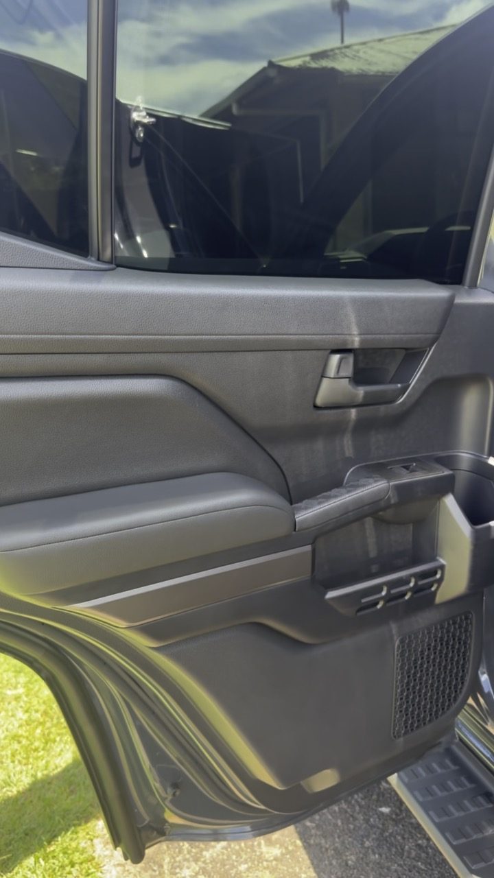 Truck interior - deep cleaned door panel